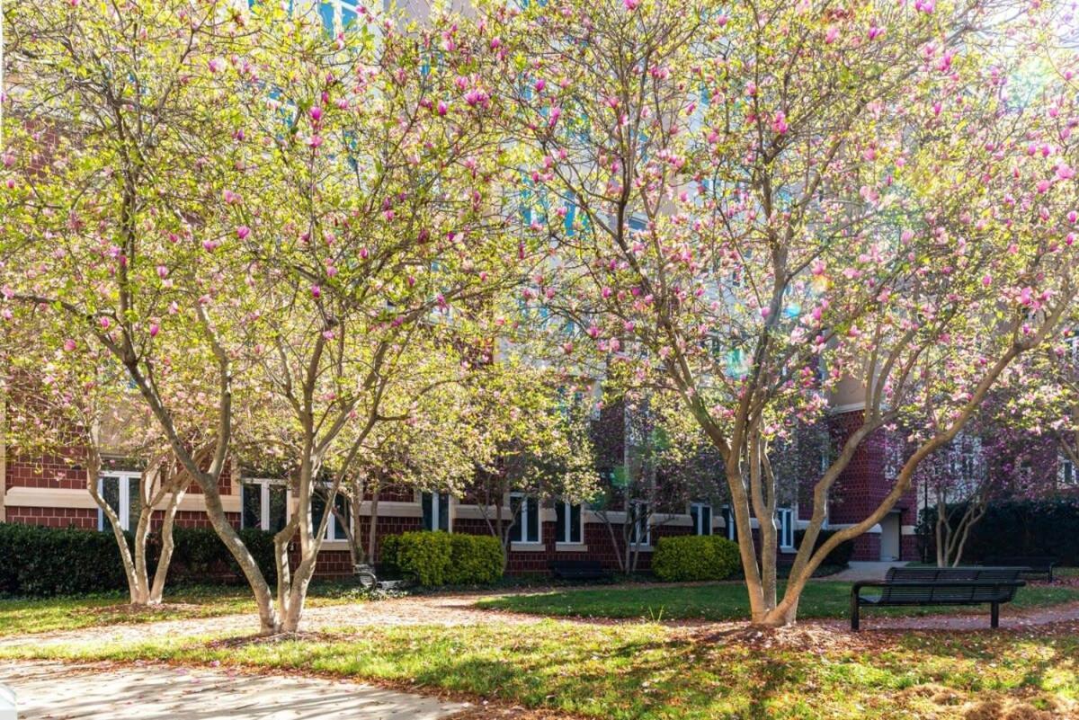 3Br Premium Downtown Apartment With Office & Gym Charlotte Exterior photo